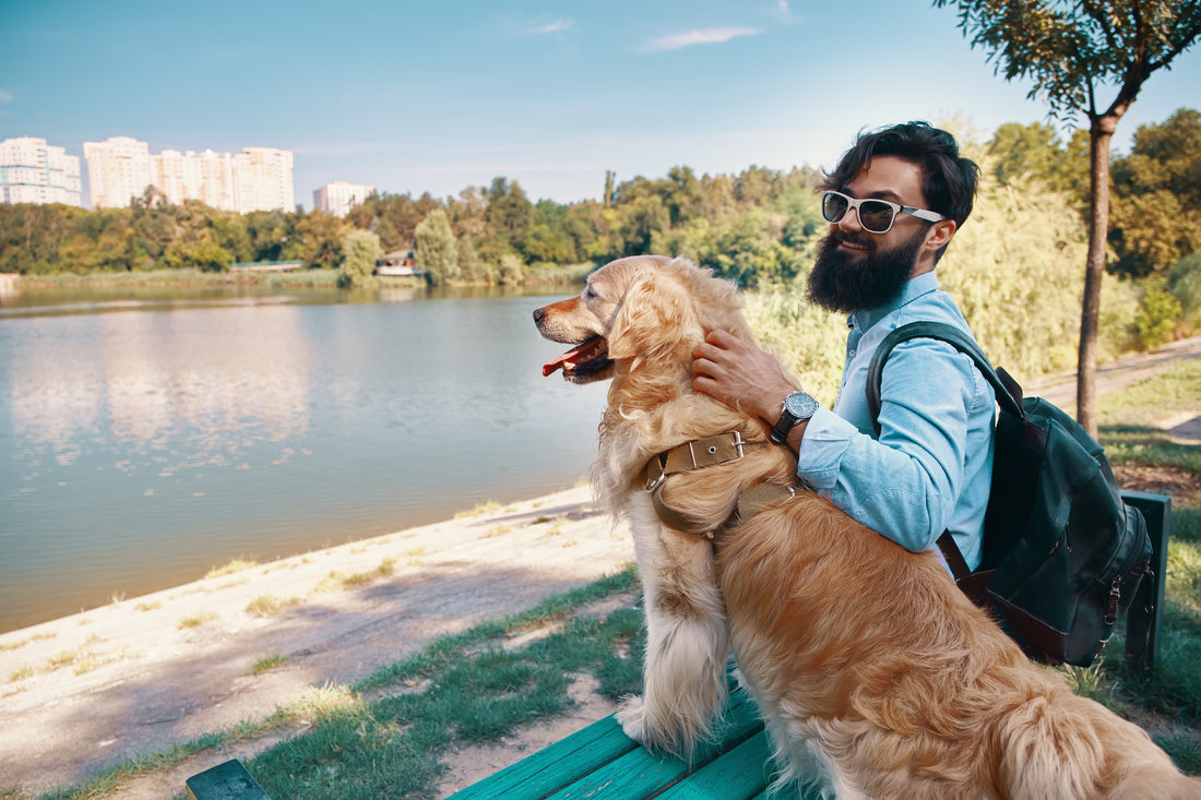 The Big Dogâs Guide to Summer Vacations
