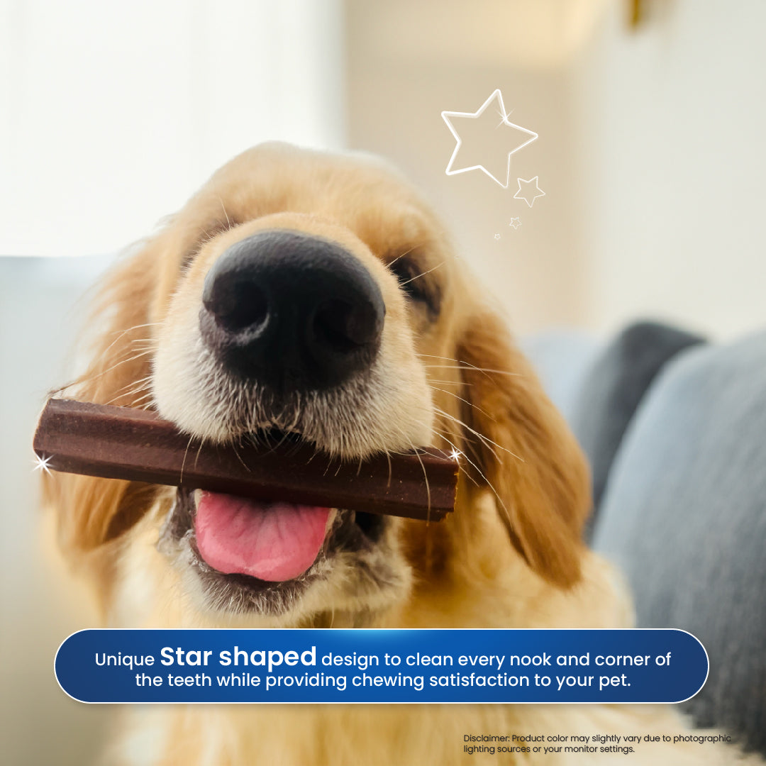 Fullr Dental Treats, Oral Care Dog Treats for Gum Health, 7 Sticks, 175g