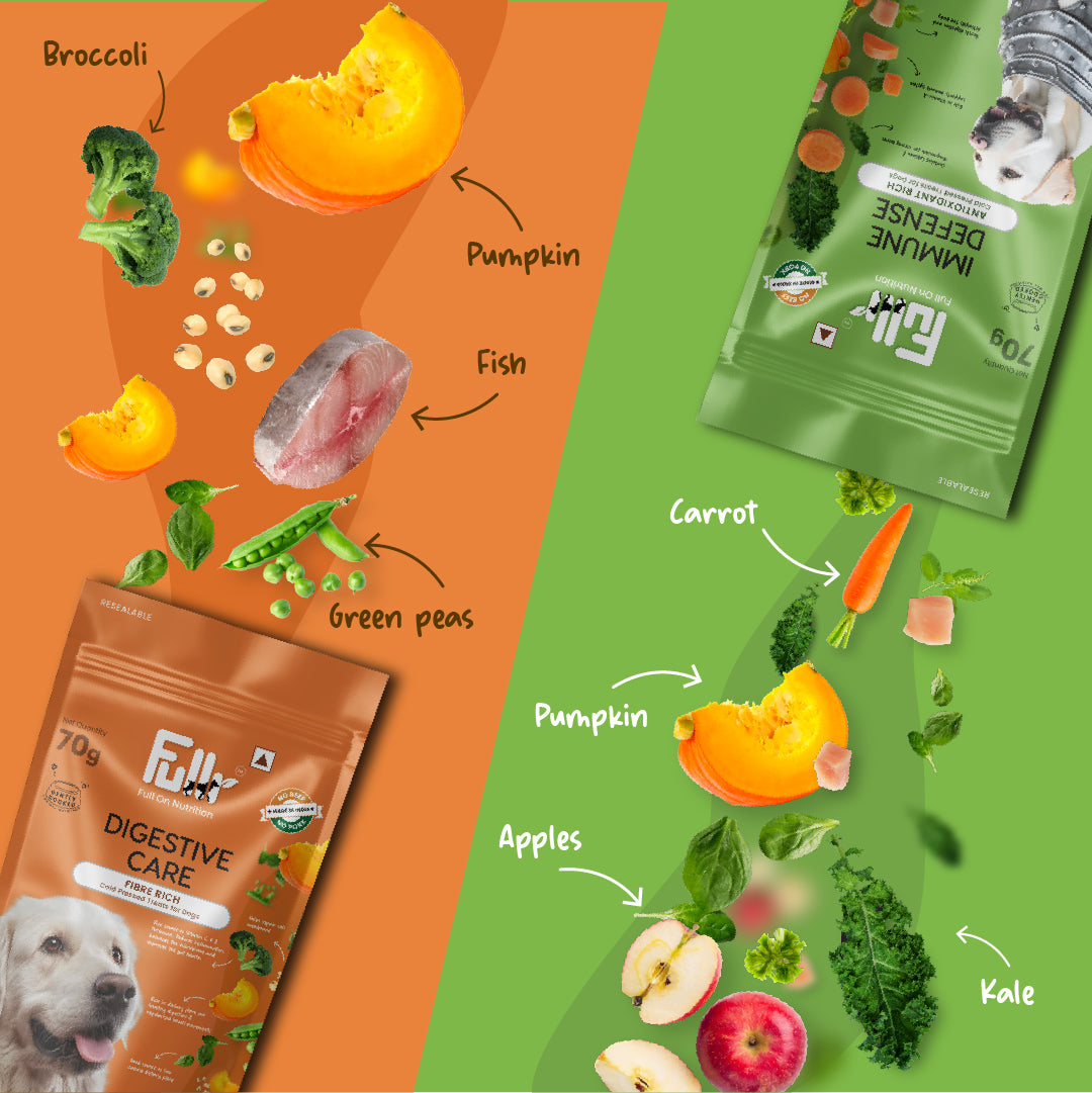 Fullr Healthy Dog Treats Pack of 2, Digestive Care + Immune Defense, Dog Biscuits for All Breeds