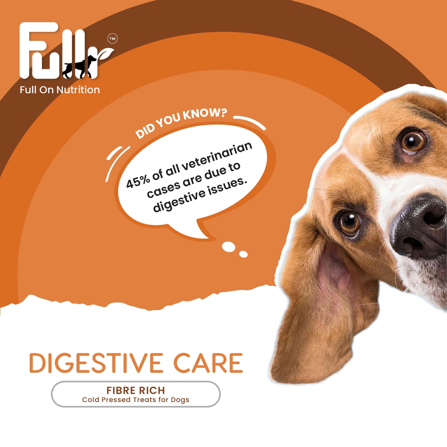 Did you know fact with respect to digestive care in dogs. Fullr Digestive Care treats rich in fibre for Dogs.