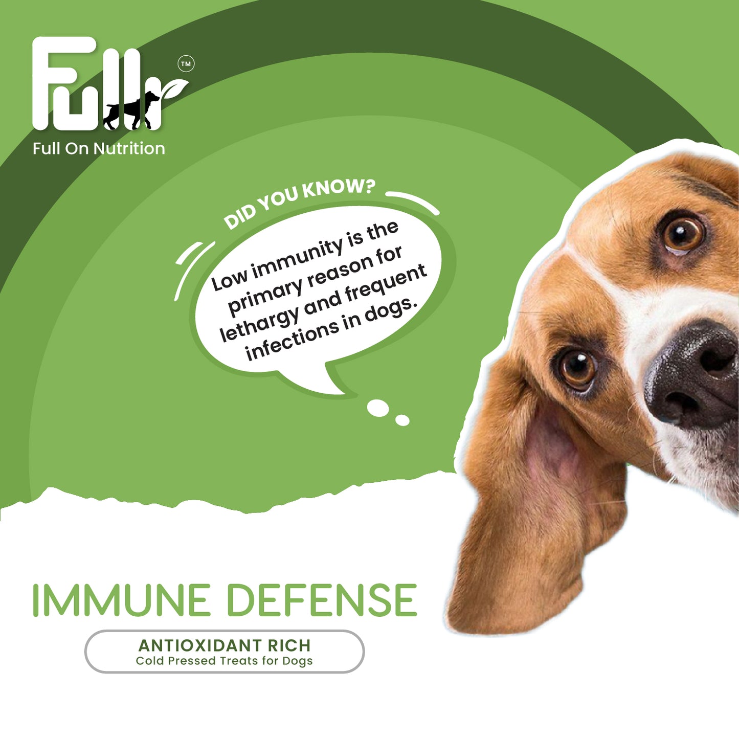 Did you know fact with respect to Immunity in dogs. Fullr Immune Defense treats for dogs rich in anti-oxidants.