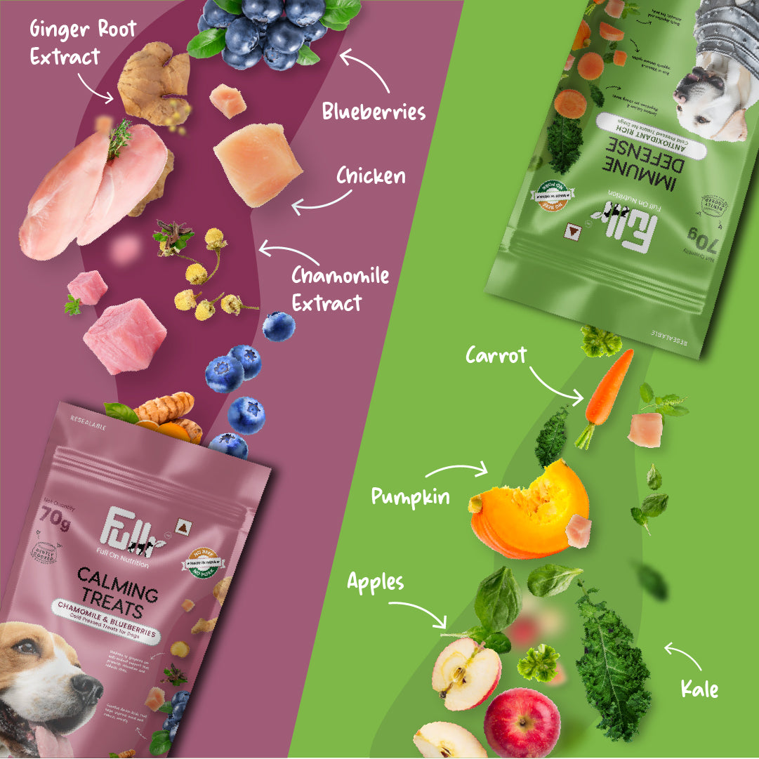 Fullr Healthy Dog Treats Pack of 2, Immune Defense + Calming Biscuits, Dog Biscuits for All Breeds