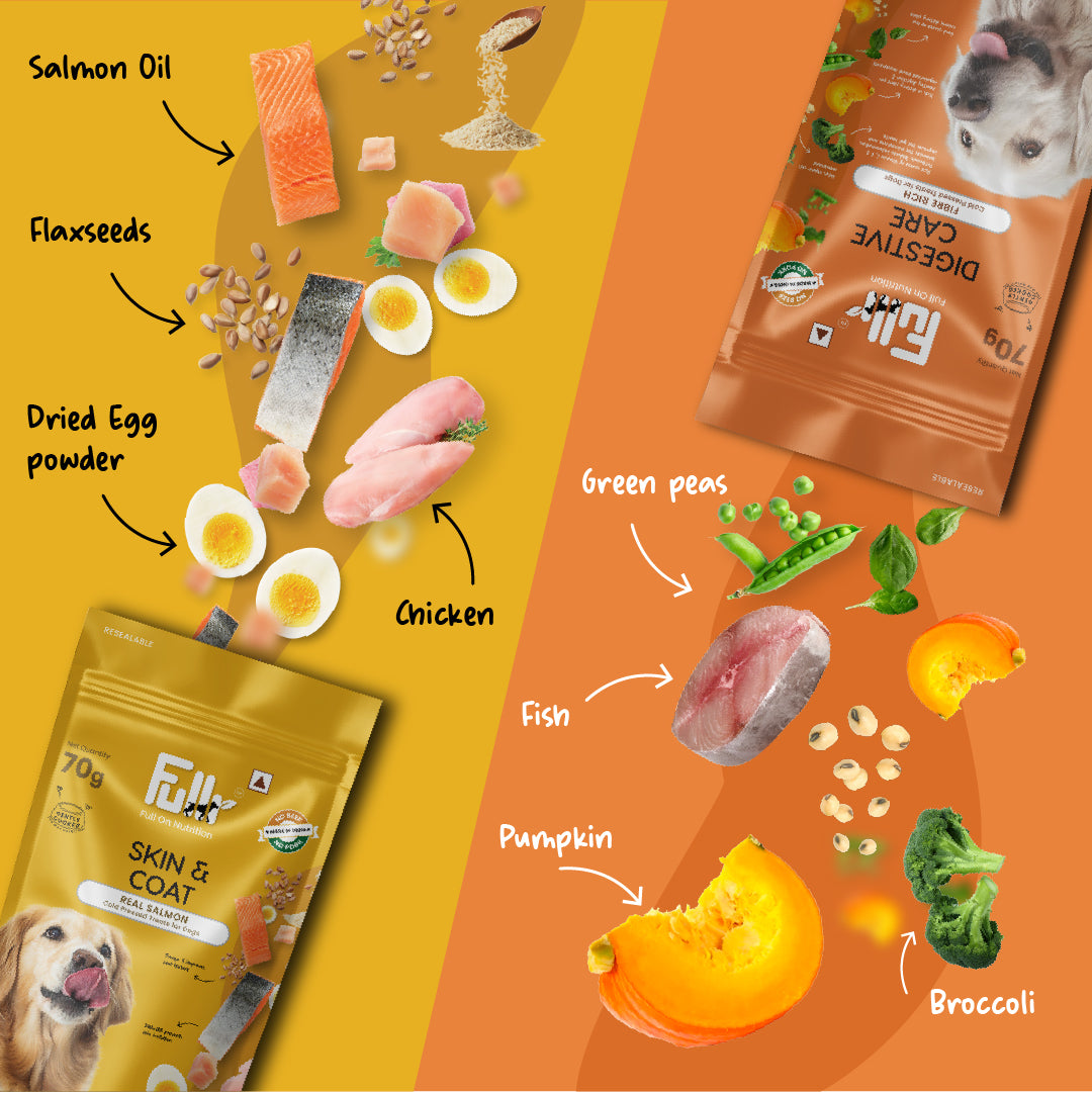 Fullr Healthy Dog Treats Pack of 2, Skin & Coat + Digestive Care, Dog Biscuits for All Breeds