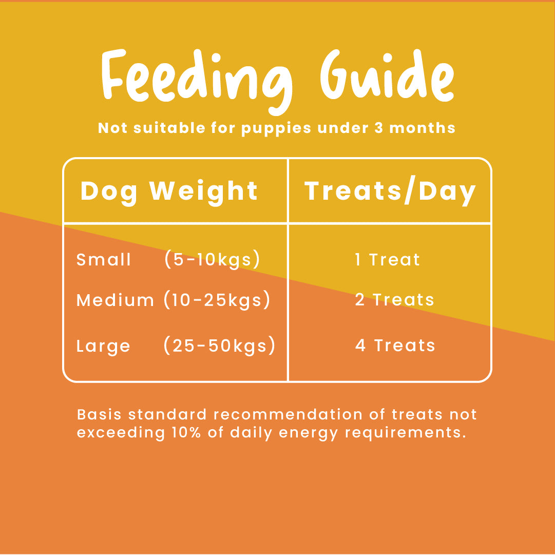 Fullr Healthy Dog Treats Pack of 2, Skin & Coat + Digestive Care, Dog Biscuits for All Breeds