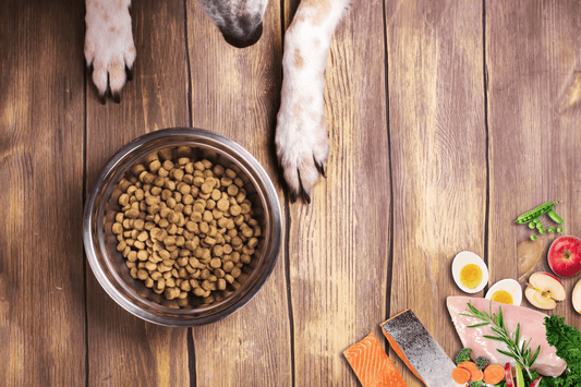The Science of Cold Pressed Treats: Why Fullr Stands Out - Fullr
