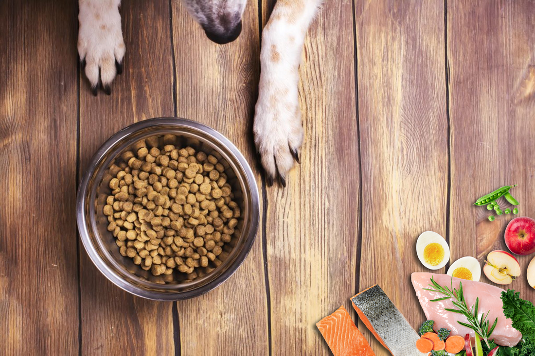 A bowl of dog food.  Chicken, eggs, apple and peas are layed beside the food bowl. 