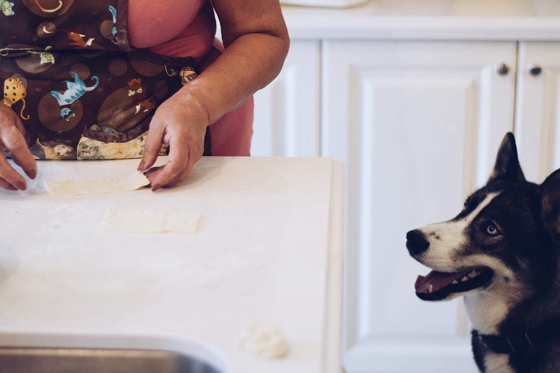 DIY Christmas Dog Treats Festive Homemade Goodies Your Pup Will Love - Fullr