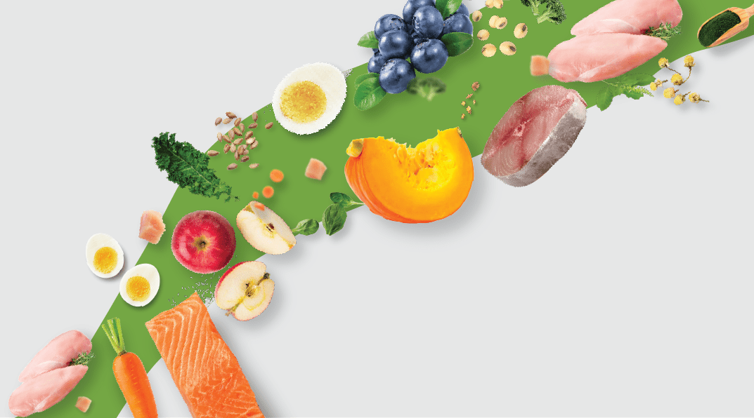 The Fullr Promise: Elevating Pet Nutrition with Quality Ingredients - Fullr