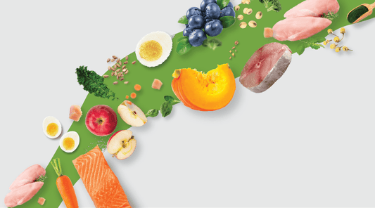 The Fullr Promise: Elevating Pet Nutrition with Quality Ingredients - Fullr