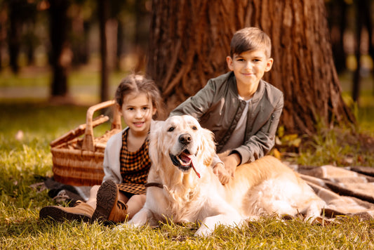Growing Up with Pets: The Emotional and Physical Benefits