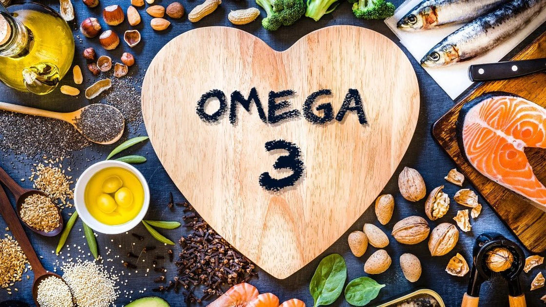 Omega-3 Fatty Acids for Pets - Enhancing their Health - Fullr