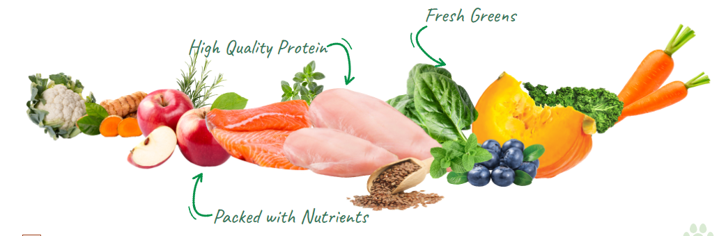 The Life-Changing Benefits of Superfood for Dogs: How Fullr Enhances Your Pet's Health - Fullr