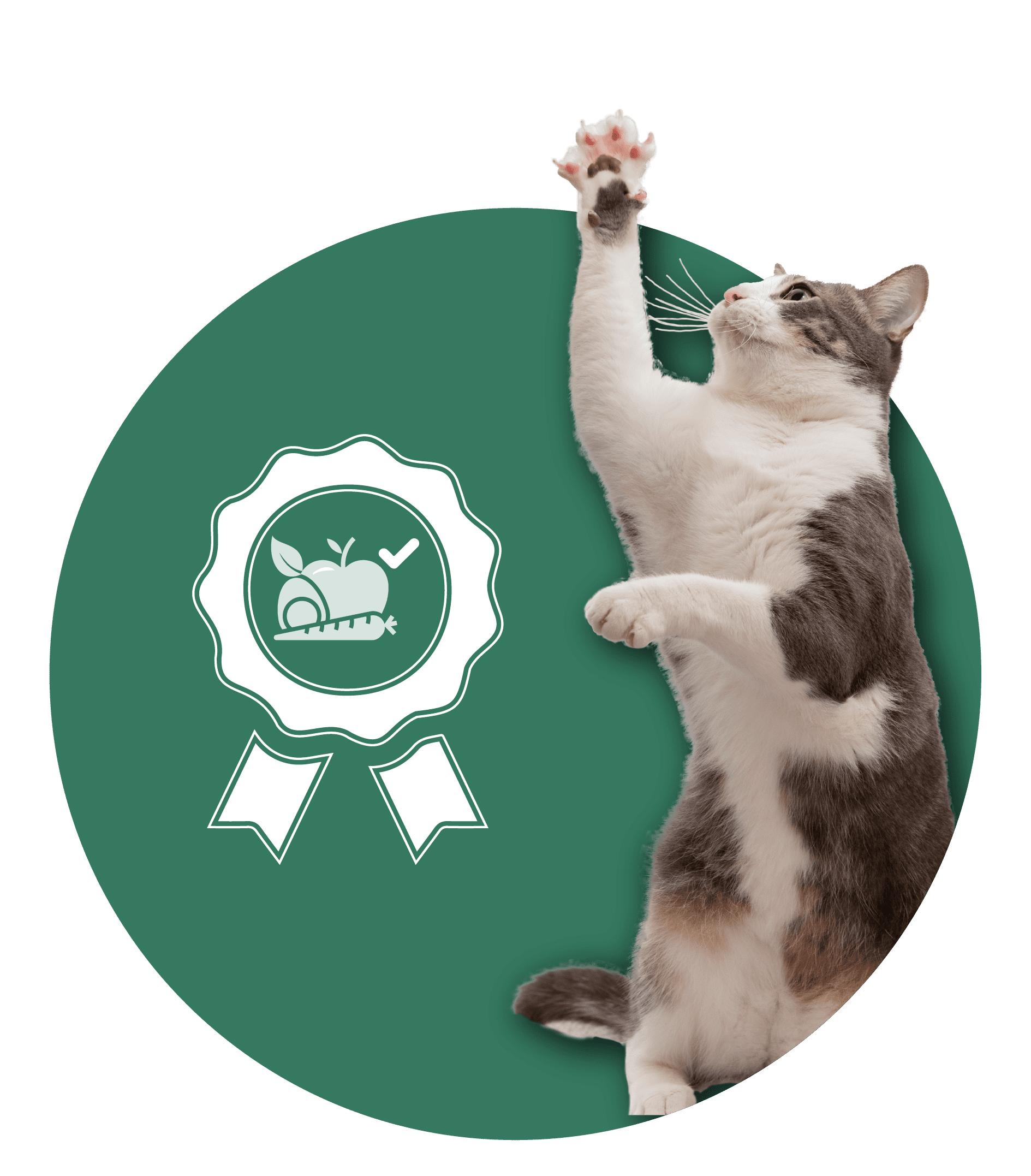 A cat trying to catch something on the air, beisde the cat there is an icon in badge shape representing nutrtional excellence.