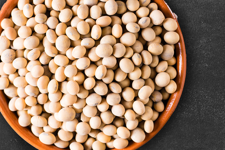 A bowl of soya seeds