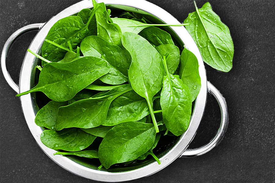 A bowl of spinach leaves.