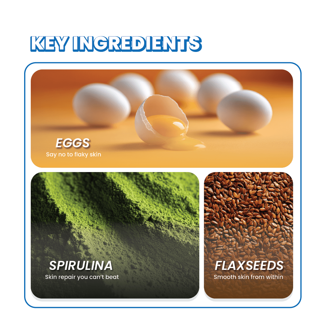 Fullr Cat Treats for Skin & Coat | Chewy Cat Treats - Fullr