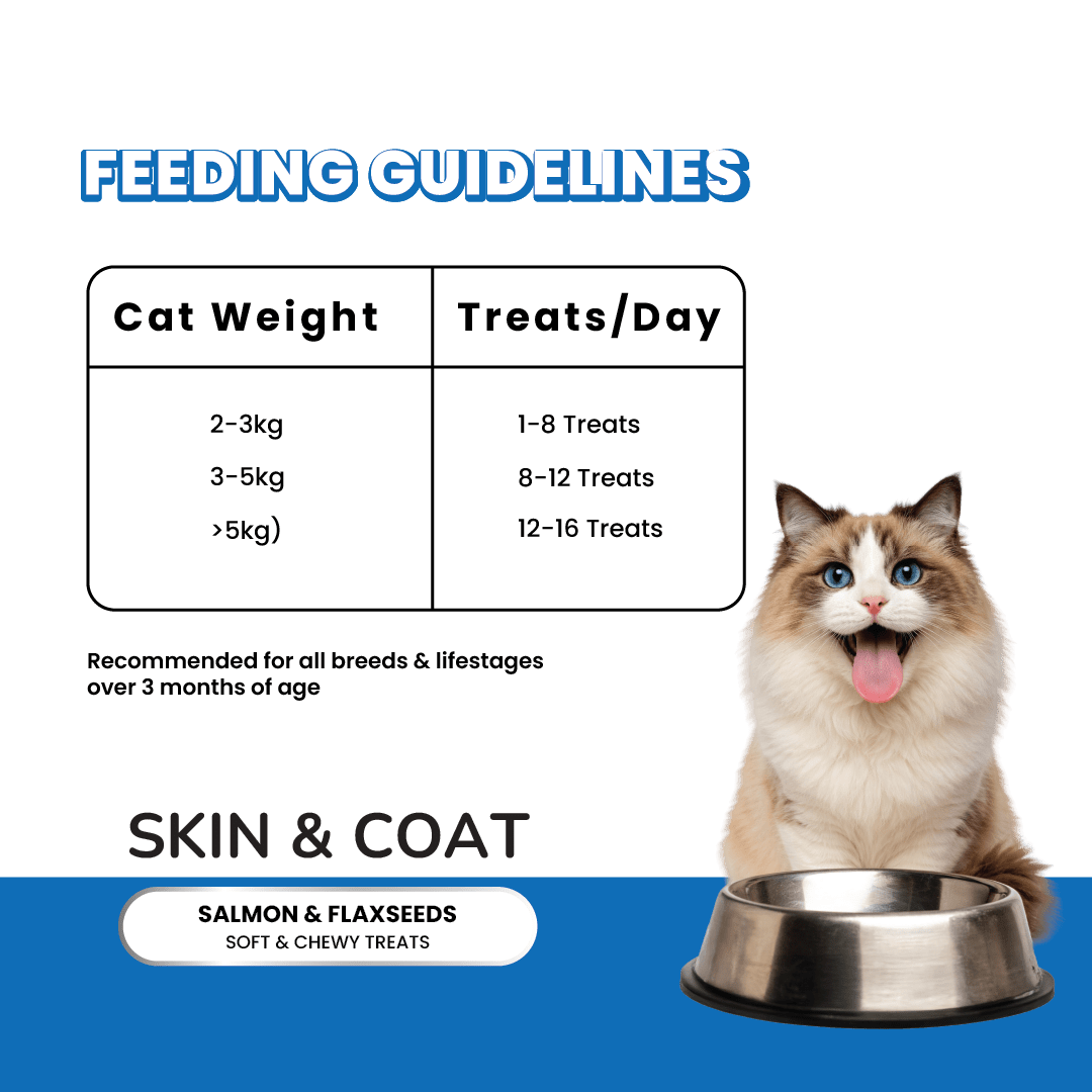 Fullr Cat Treats for Skin & Coat | Chewy Cat Treats - Fullr
