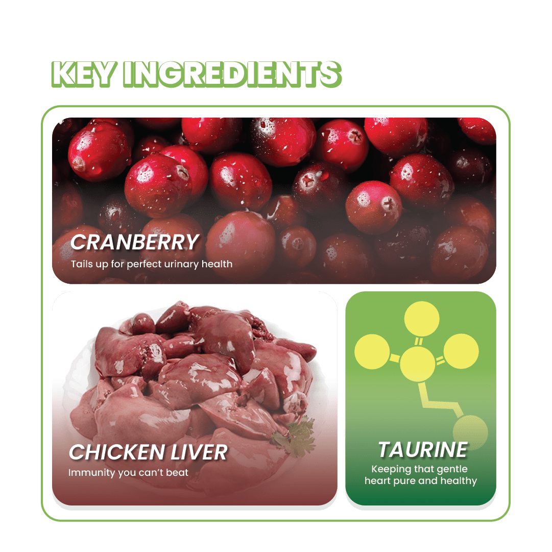 Fullr Immune Defense Soft & Chewy Cat Treats - Fullr