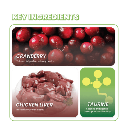 Fullr Immune Defense Soft & Chewy Cat Treats - Fullr