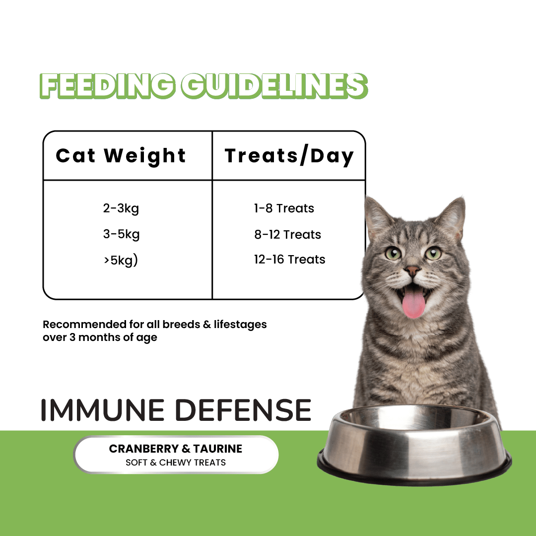 Fullr Immune Defense Soft & Chewy Cat Treats - Fullr