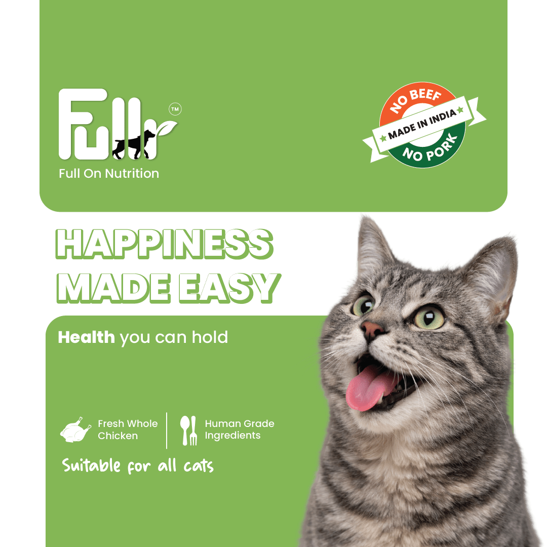Fullr Immune Defense Soft & Chewy Cat Treats - Fullr