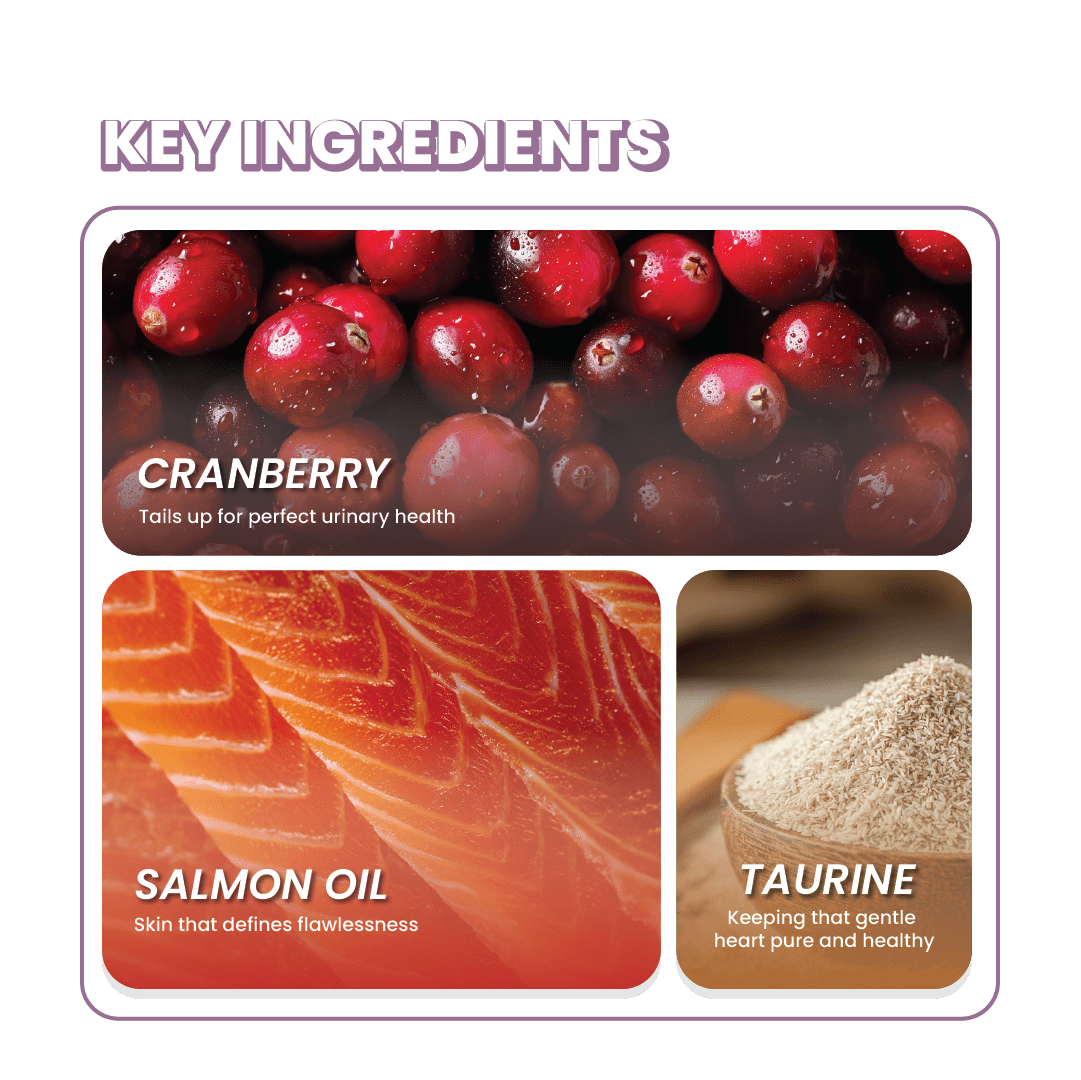 Fullr Daily Wellness Soft & Chewy Cat Treats - Fullr