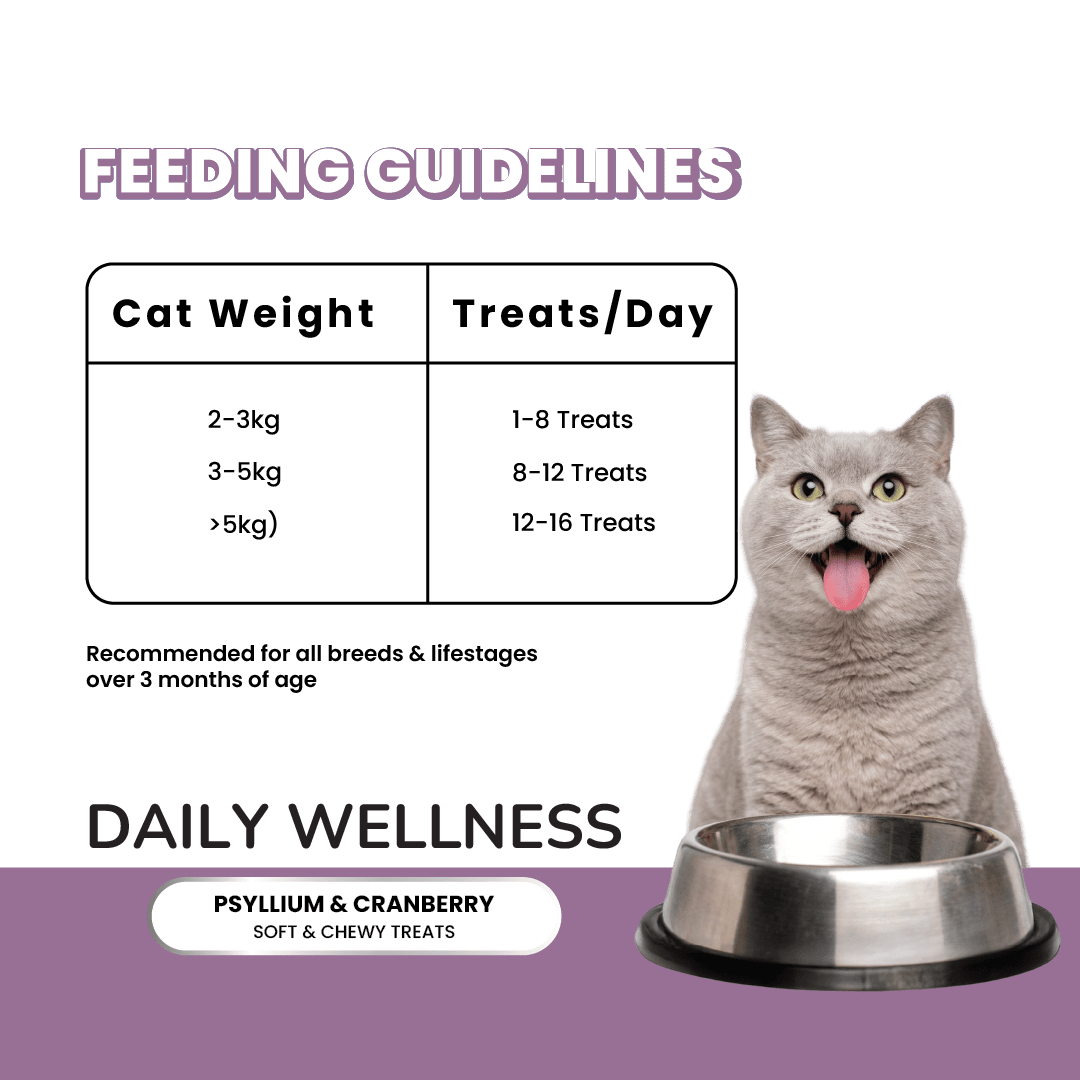 Fullr Daily Wellness Soft & Chewy Cat Treats - Fullr