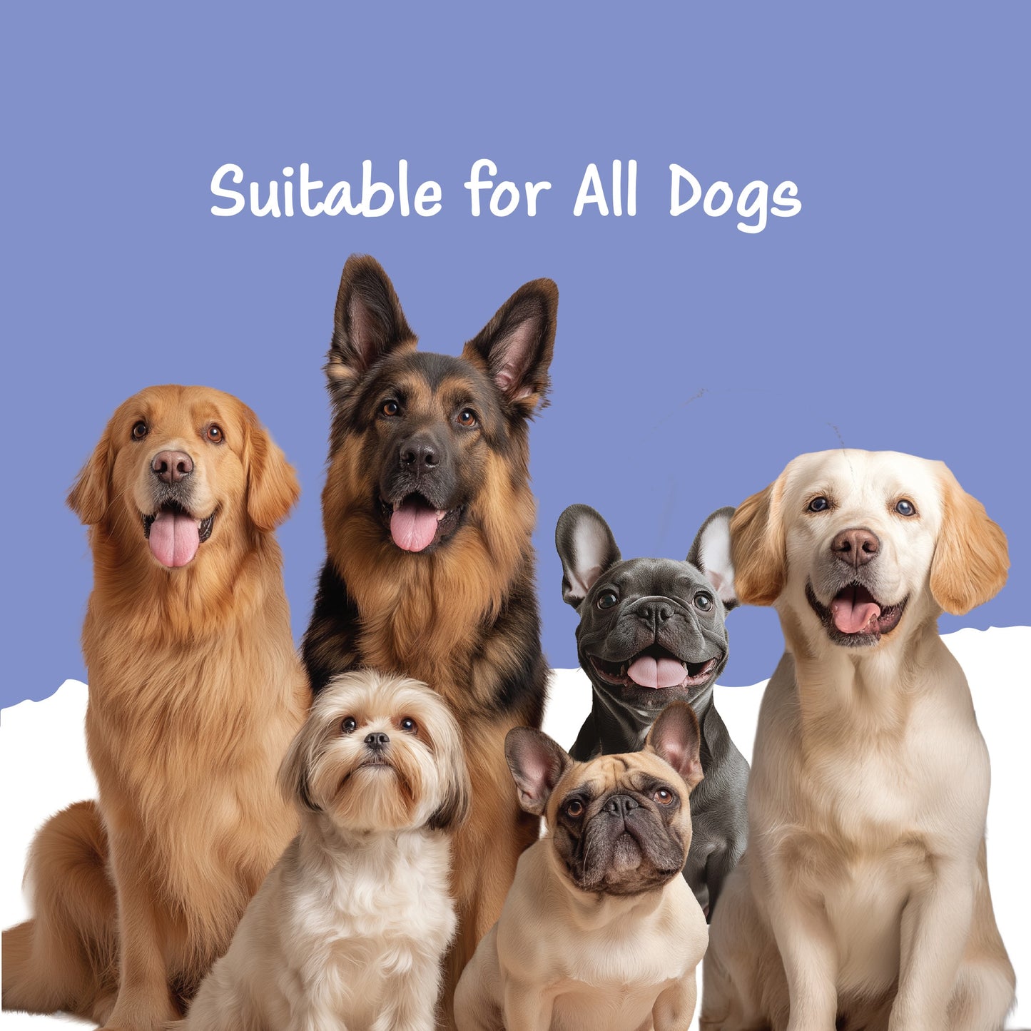 Fullr Mobility Support, Soft & Chewy Sticks for Dog