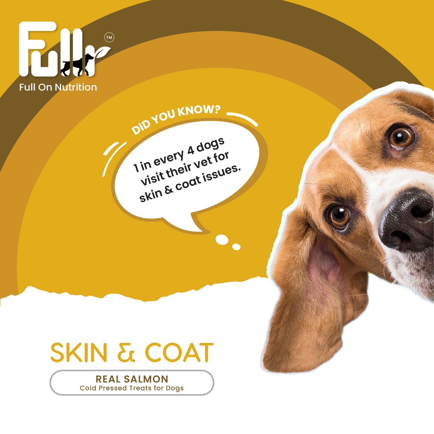 Did you know fact with respect to Skin & Coat in dogs.   Fullr Skin & Coat Treats for dogs made with Salmon.