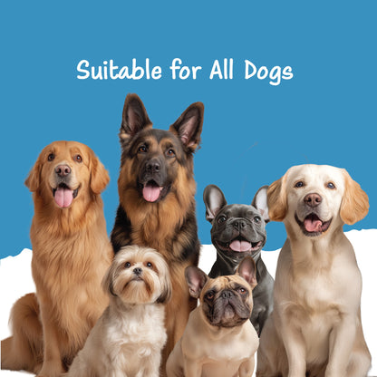 Fullr Dental Care, Soft & Chewy Sticks for Dog