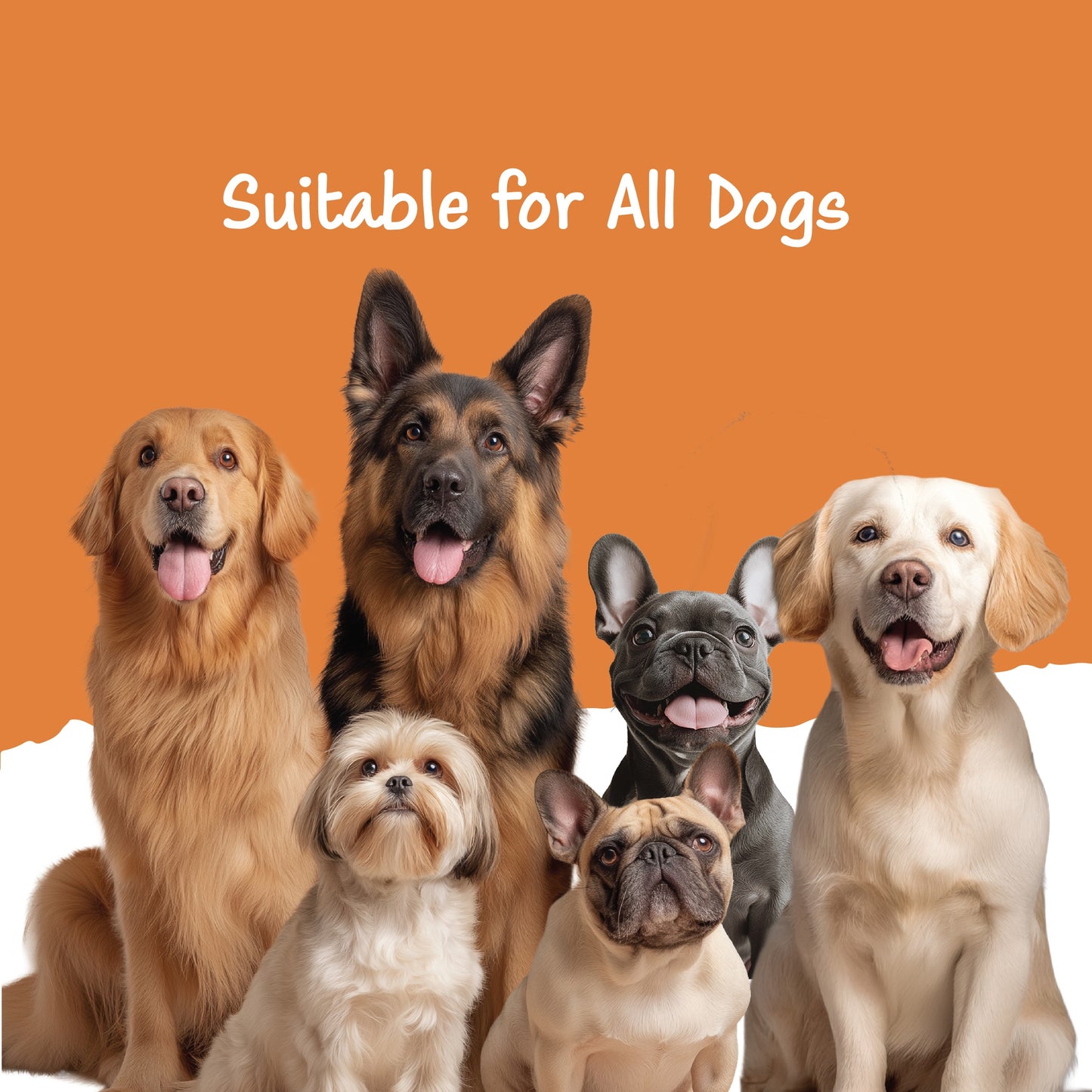 Fullr Digestive Care, Soft & Chewy Sticks for Dog