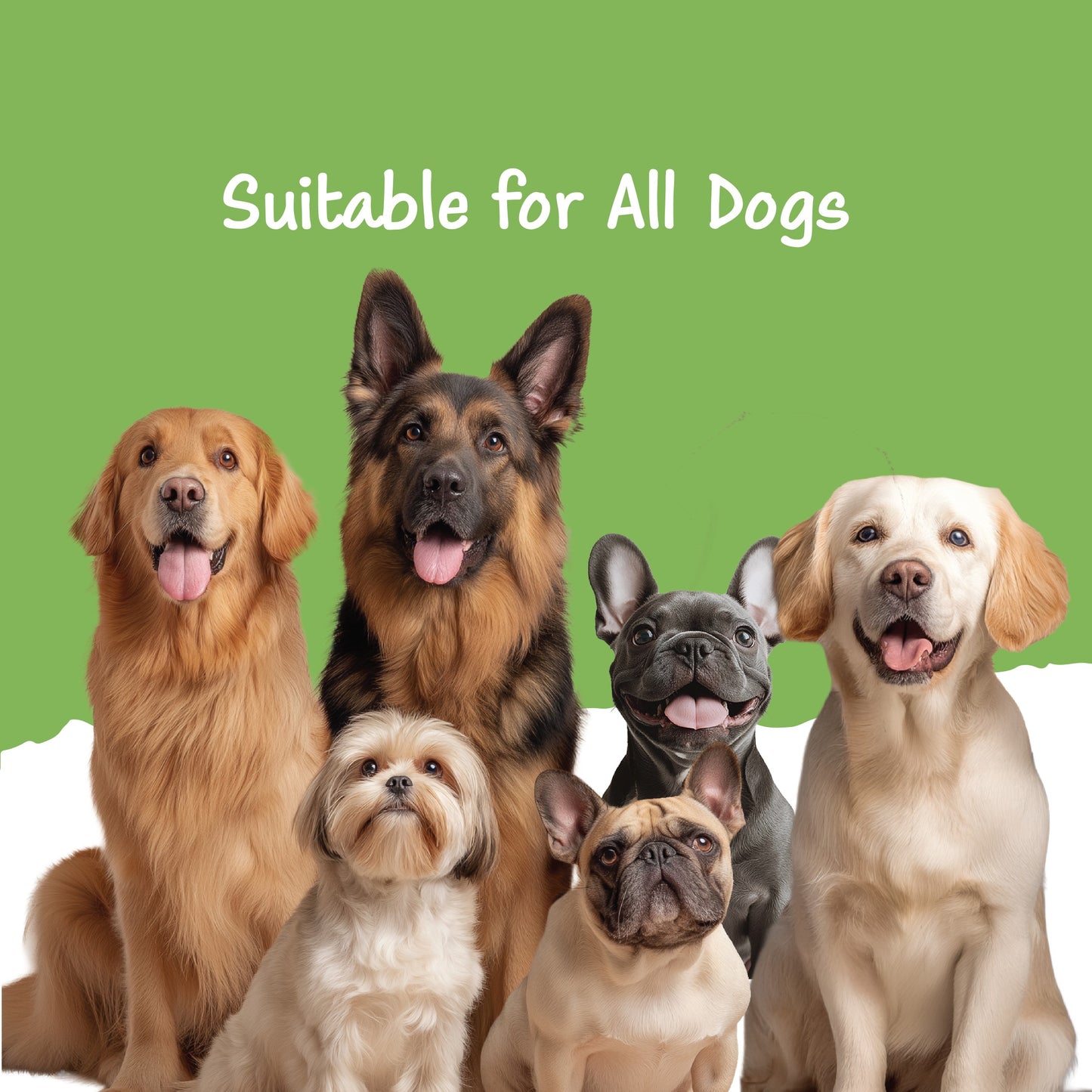 Fullr Immune Defense, Soft & Chewy Sticks for Dog