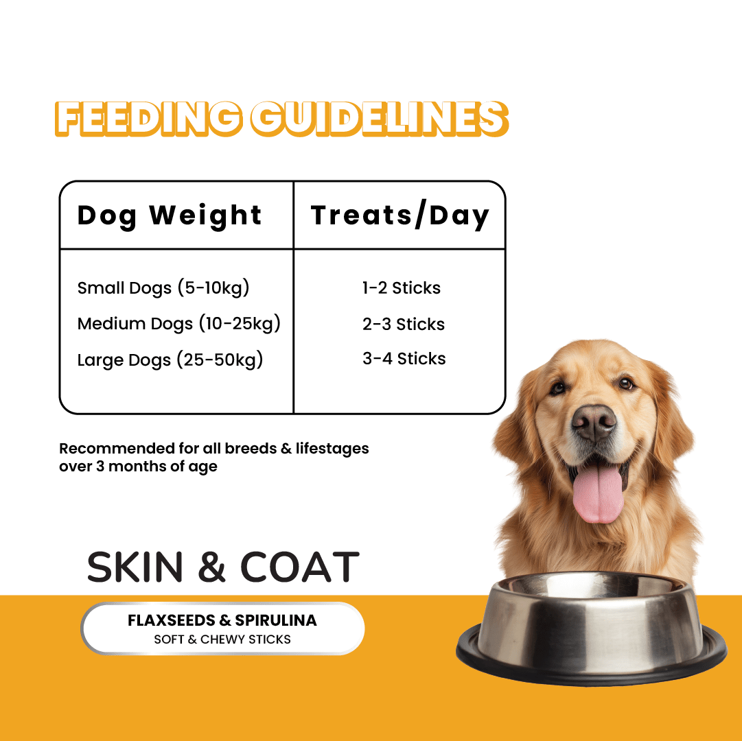 Fullr Skin & Coat, Soft & Chewy Sticks for Dog - Fullr