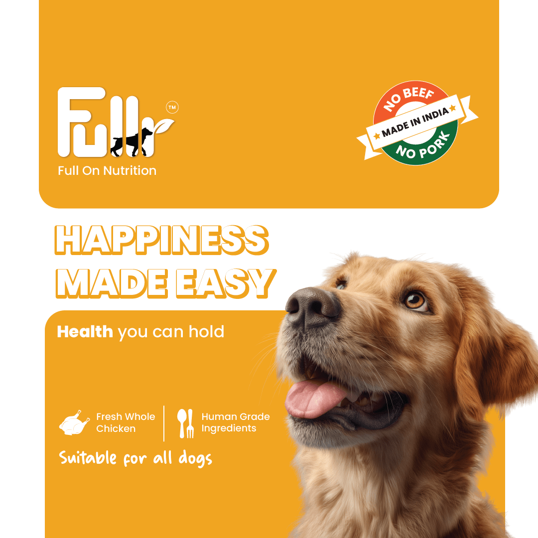 Fullr Skin & Coat, Soft & Chewy Sticks for Dog - Fullr