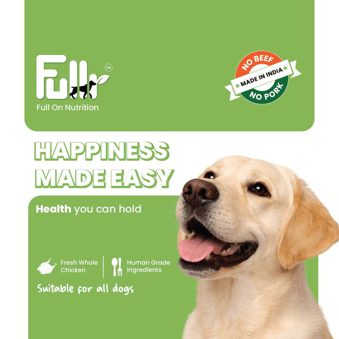 Fullr Immune Defense, Soft & Chewy Sticks for Dog - Fullr