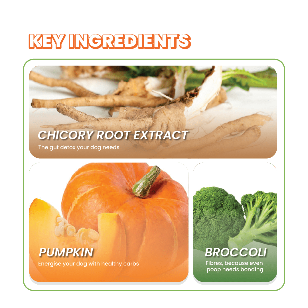 Fullr Digestive Care, Soft & Chewy Sticks for Dog - Fullr