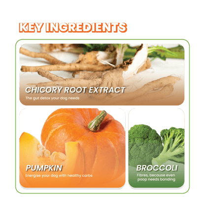 Fullr Digestive Care, Soft & Chewy Sticks for Dog - Fullr