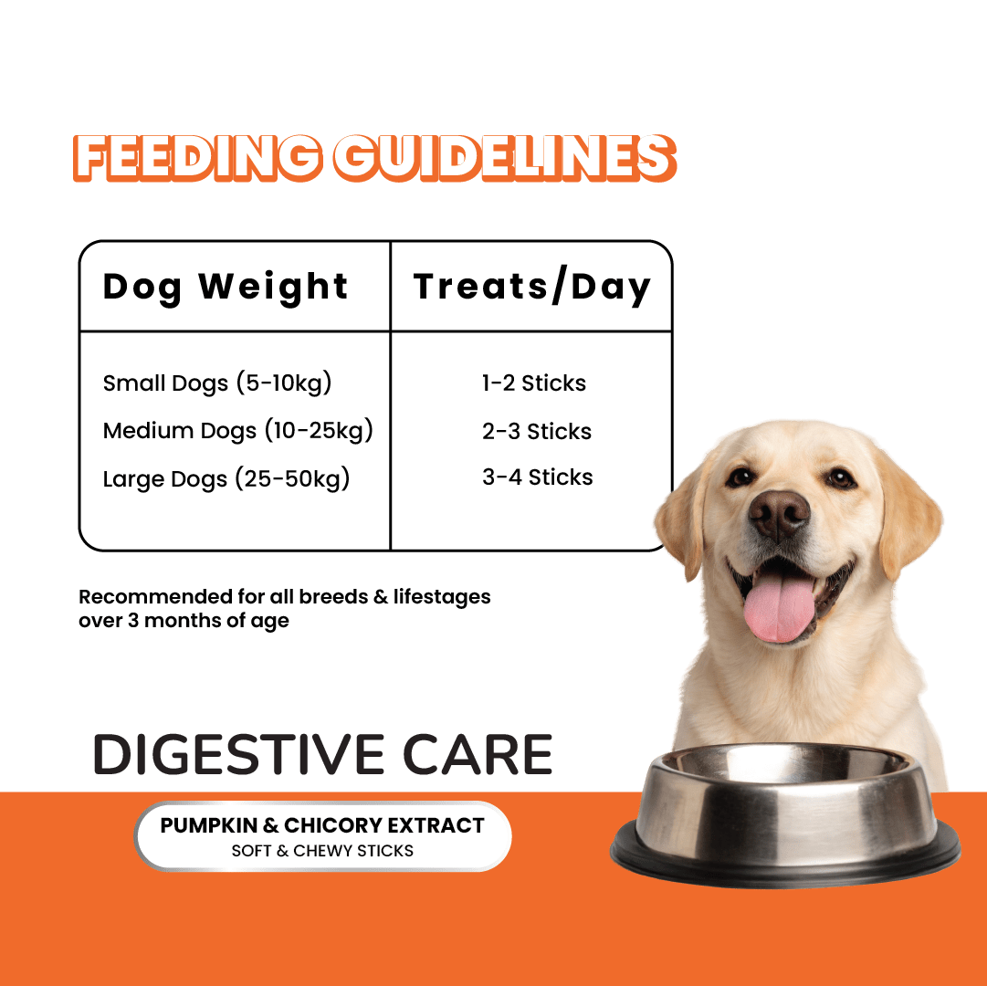 Fullr Digestive Care, Soft & Chewy Sticks for Dog - Fullr