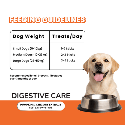 Fullr Digestive Care, Soft & Chewy Sticks for Dog - Fullr