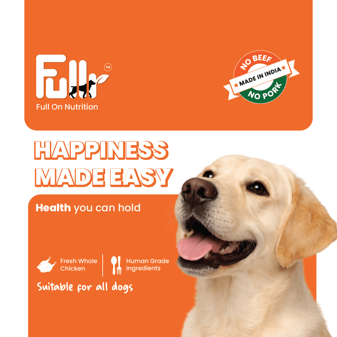 Fullr Digestive Care, Soft & Chewy Sticks for Dog - Fullr