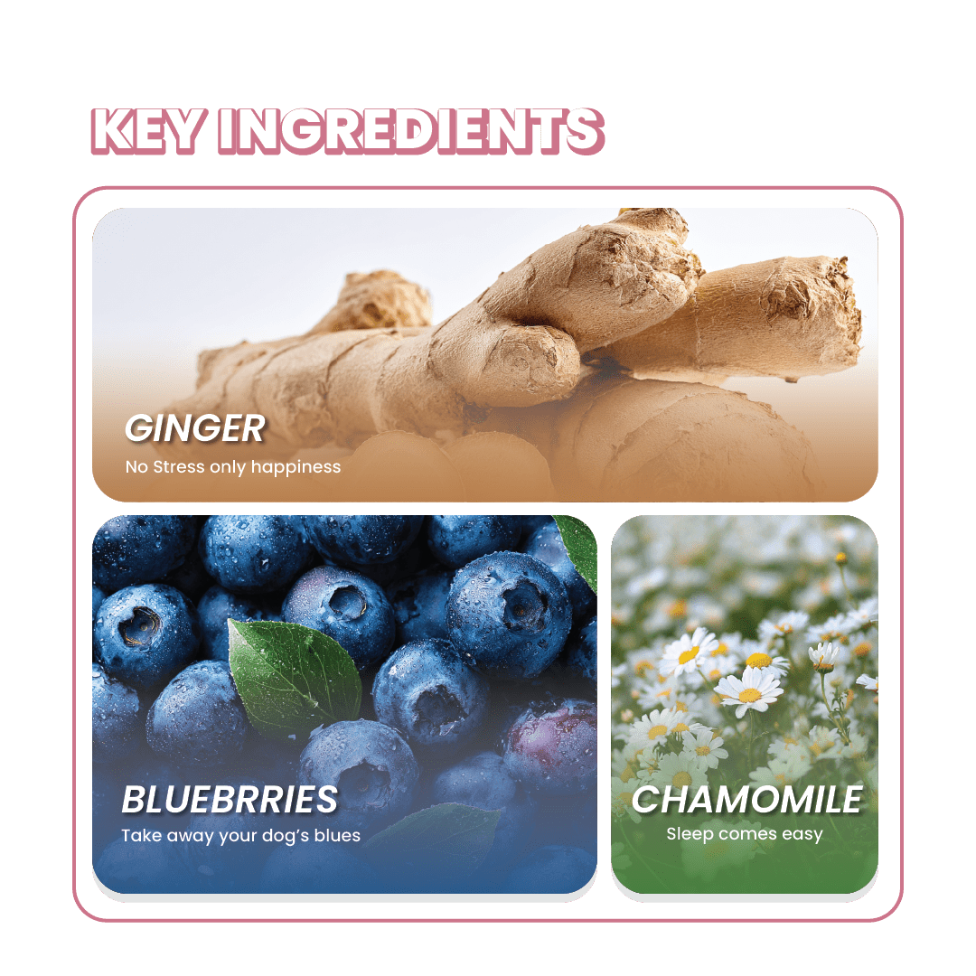 Fullr Calming, Soft & Chewy Sticks for Dog - Fullr