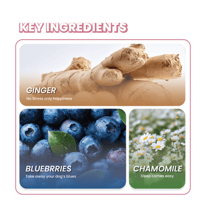 Fullr Calming, Soft & Chewy Sticks for Dog - Fullr