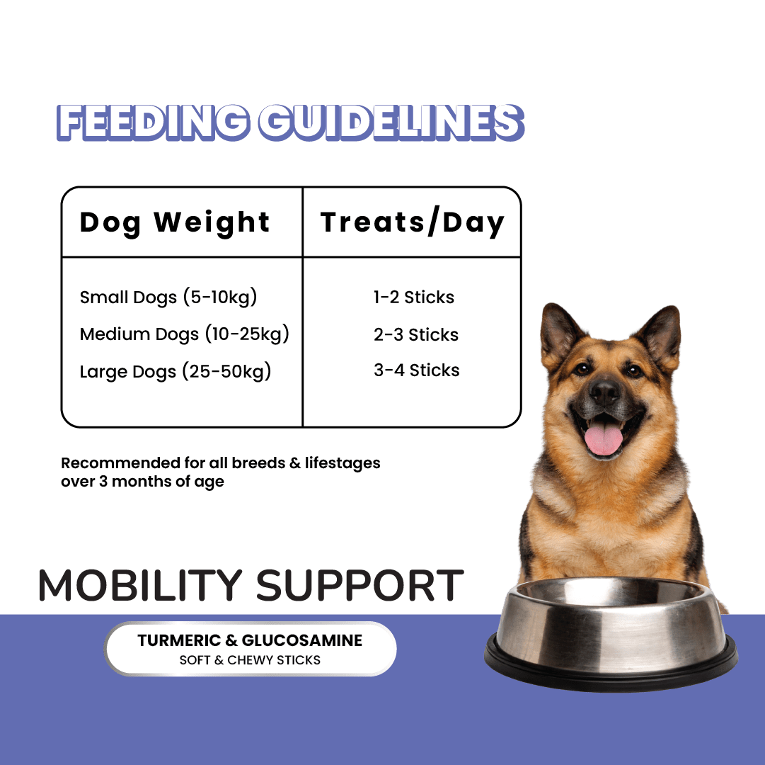 Fullr Mobility Support, Soft & Chewy Sticks for Dog - Fullr