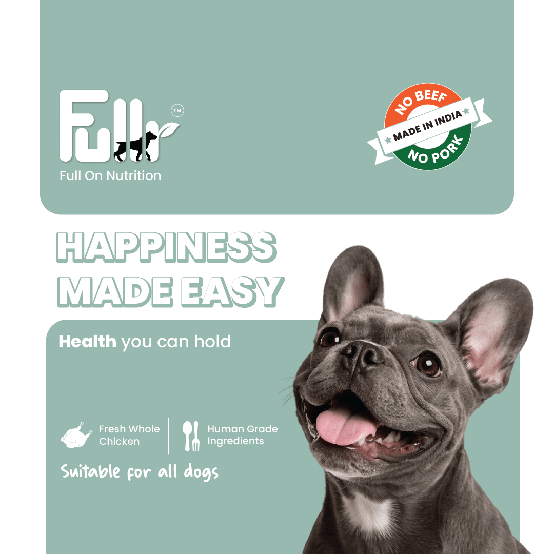 Fullr Daily Wellness, Soft & Chewy Sticks for Dog - Fullr