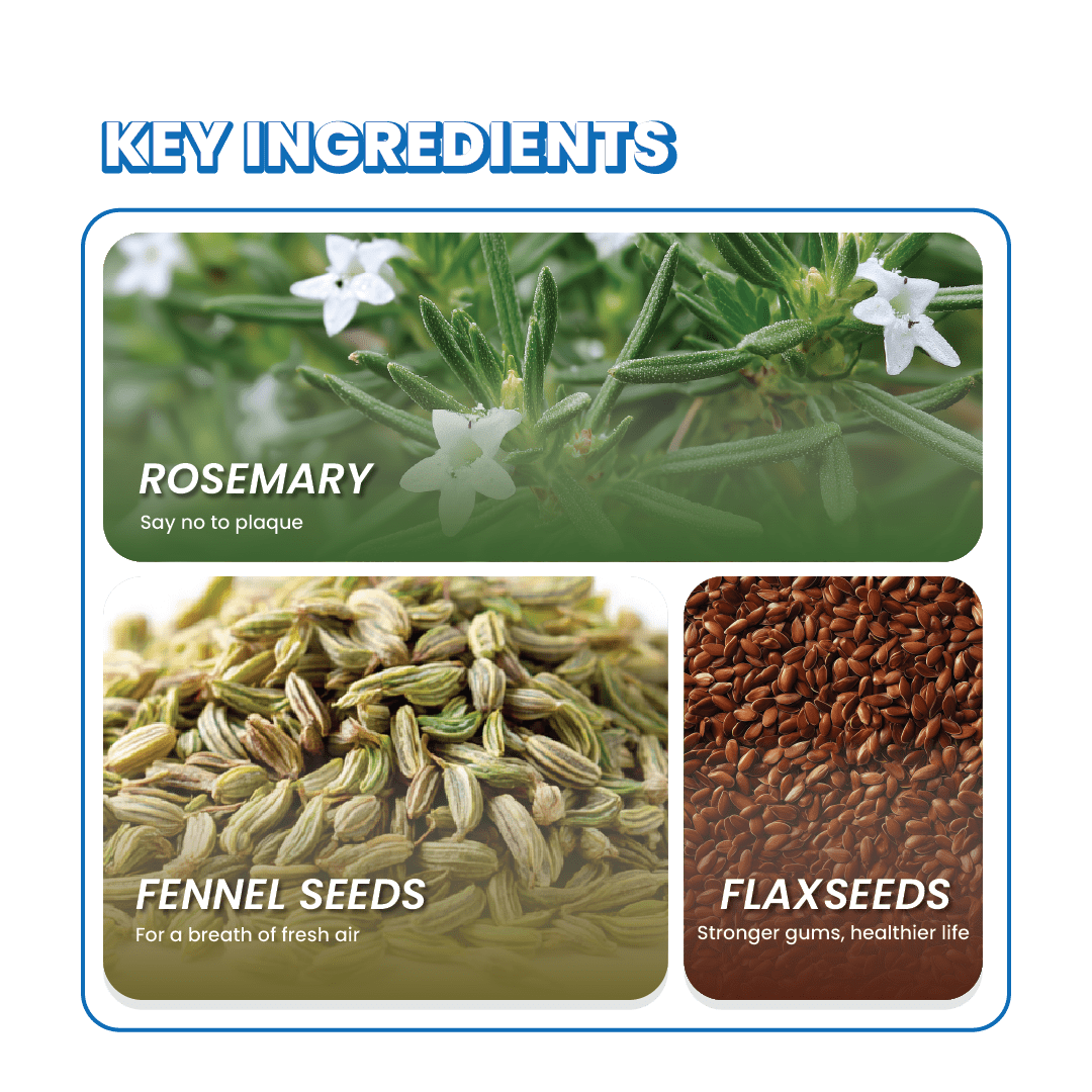 Fullr Dental Care, Soft & Chewy Sticks for Dog - Fullr