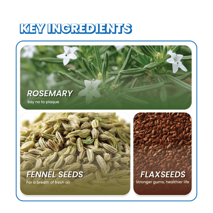 Fullr Dental Care, Soft & Chewy Sticks for Dog - Fullr