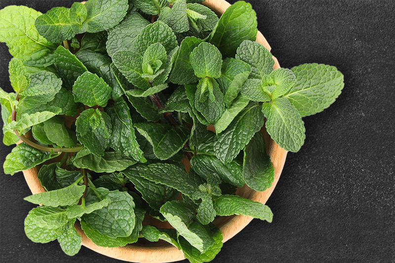 Mint leaves placed in a bowl.