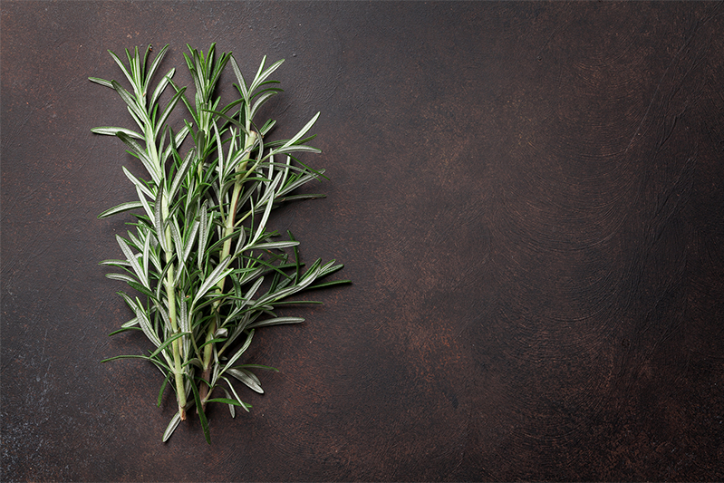 Rosemary leaves placed on a earthy background.
