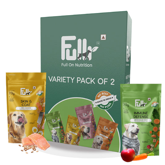 Fullr Healthy Dog Treats Pack of 2, Skin & Coat + Immune Defense, Dog Biscuits for All Breeds
