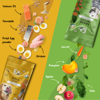 Fullr Healthy Dog Treats Pack of 2, Skin & Coat + Immune Defense, Dog Biscuits for All Breeds